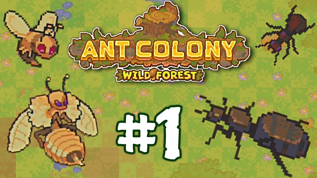 Ant Colony Wild Forest